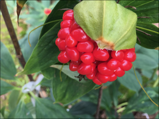 非凡国际(中国区)-官方网站